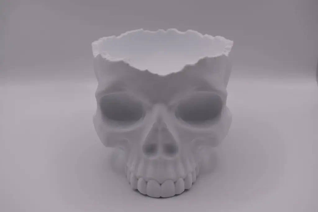 Skull_Vorne.webp