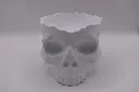 Skull_Vorne.webp
