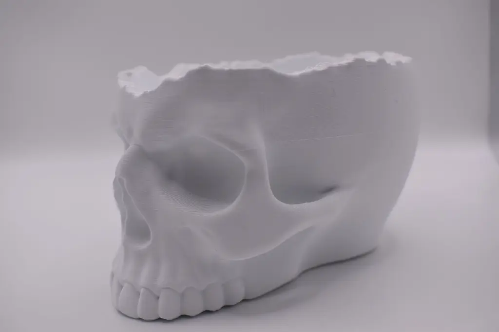 SkullSeitenansicht.webp