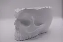 SkullSeitenansicht.webp